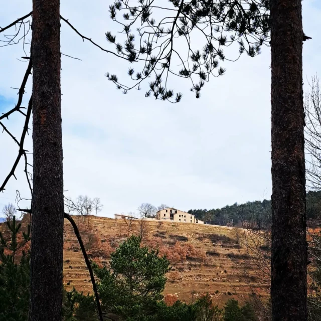Caminades pels voltants d'El Guitart.

#ripoll #elripollès #turismerural #turismecatalunya